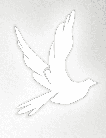 Dale Margaret Sprague Obituary